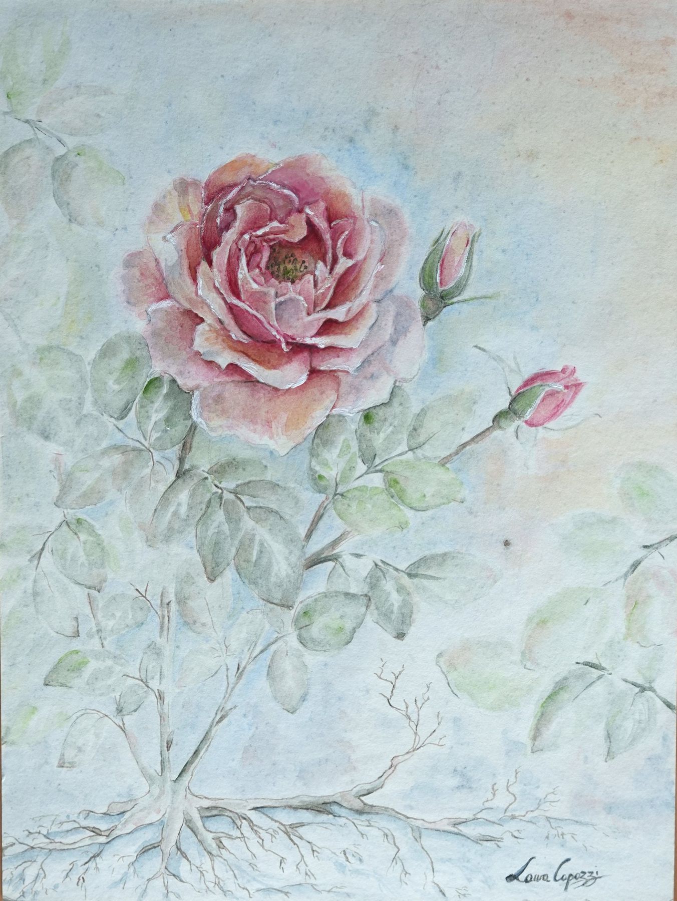 Rose – Aquarell: eine rosa Rose mit zwei Knospen, darunter ihr Wurzelwerk
